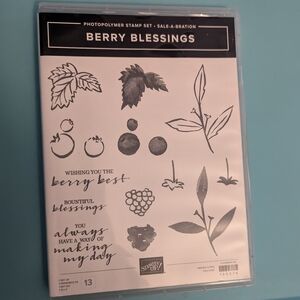 Stampin' Up Berry Blessings stamp set